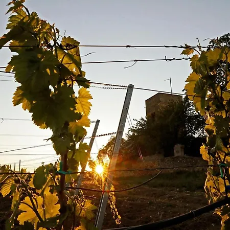 Altstadthof מלון