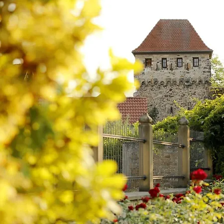 호텔 Altstadthof 프라인스하임