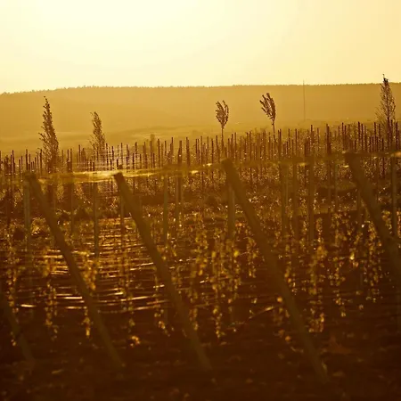 Altstadthof Hotel Freinsheim
