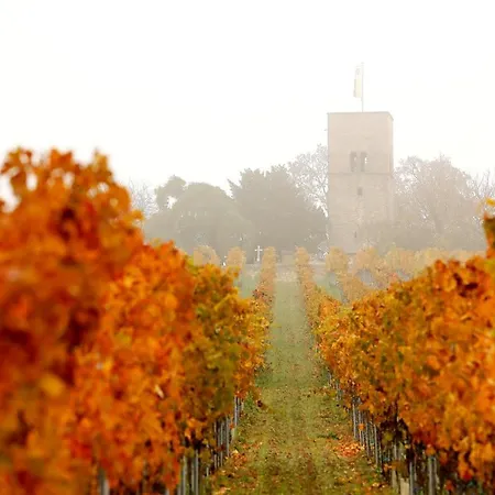 Altstadthof * פריינשהיים