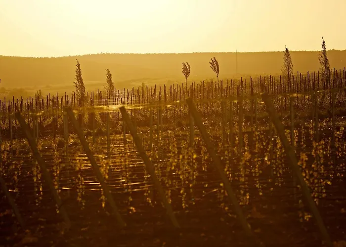 Altstadthof Hotel Freinsheim