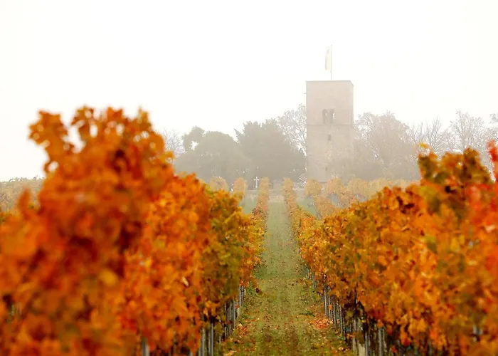 Altstadthof * Freinsheim